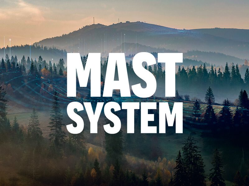 Mastsystem Logo Referenssi